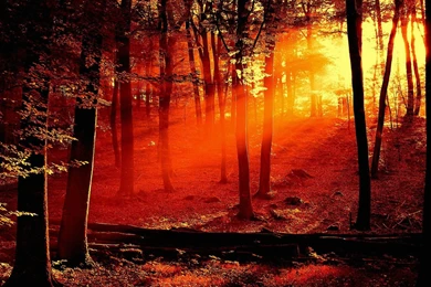 Desktop Hd Cool Orange Wallpapers 3d Hd Pictures.