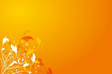 Desktop Orange Wallpapers Orange Wallpapers Orange Backgrounds Hd 1 ...