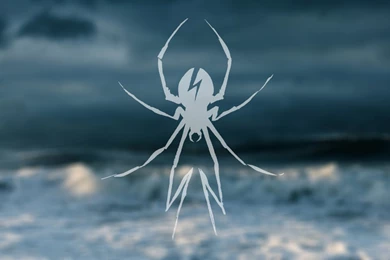 My Chemical Romance Spider HD Wallpaper,music Wallpaper,spider ...