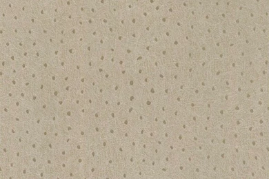 Ostrich Print Textured Wallpapers   Discount Wallcovering
