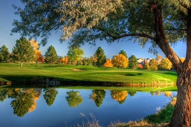 Windows Backgrounds Nature Hd