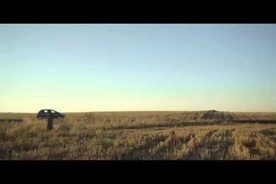 Sufjan Stevens, "Should Have Known Better" (Official Audio)   YouTube