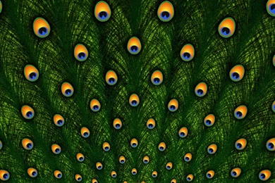 Wondershare] 30 Girly Wallpapers For iPhone 6s/ 6/ 5s/