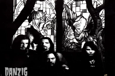 DANZIG   BANDSWALLPAPERS