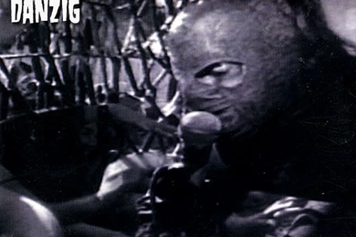 DANZIG   BANDSWALLPAPERS