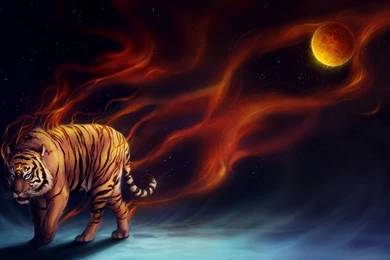 Tiger, Moon   Wallpapers – Yoyowall.com