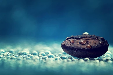 most downloaded wallpapers hd wallpapers
