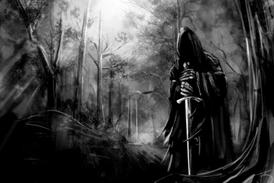 Most Download HD Wallpapers