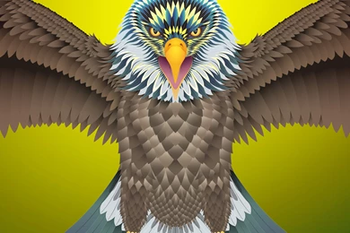 Creative Illustration Studio Of London Based A.k.A   AkA In Pieces ...