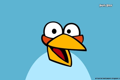 Angry Birds Lovers Cartoon Wallpapers