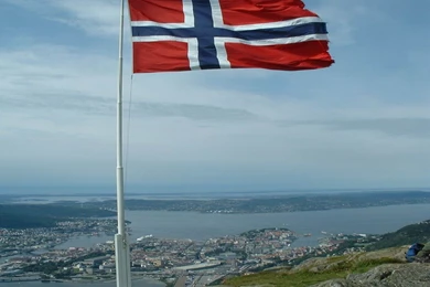 1024x768 Cute Funny Cat Desktop PC And Mac Wallpapers