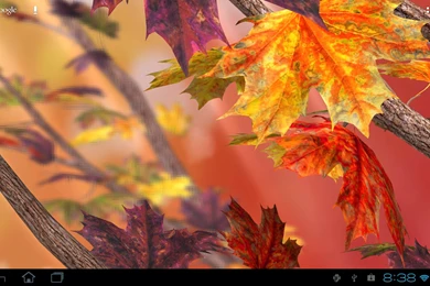 Autumn Tree Free Wallpapers   Android Apps On Google Play