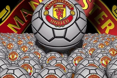 Manchester United Logo HD Wallpapers 2013 2014