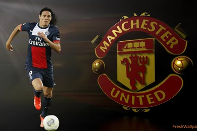 Manchester United 2015 Logo Wallpapers