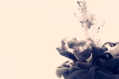 Smoky Rose Wallpapers   (