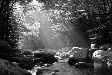Forests: SMOKEY MOUNTAINS TRAIL Stream Water Travel Black White ...