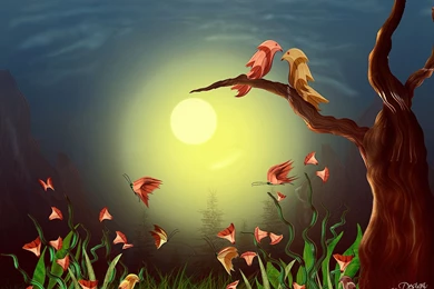 Picture Of Love Bird   Wallpapers HD Wide