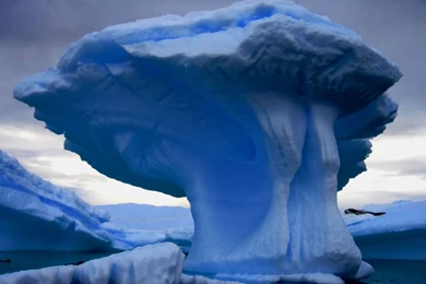 Desktop Wallpapers · Gallery · Nature · Iceberg Very Large
