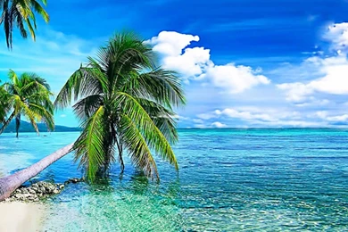 Free Live Wallpapers For Mobile   Wallpapers HD Base