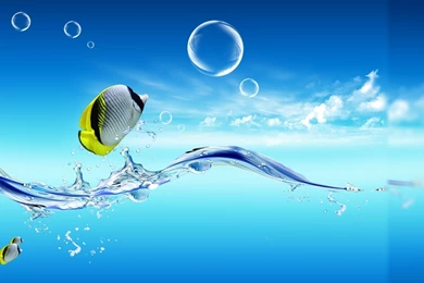 Download Hd Live Wallpapers For PC,desktop Wallpapers