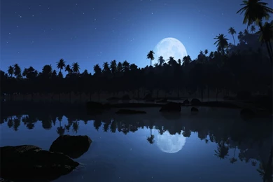 Summer Night Wallpapers   Crazy Frankenstein