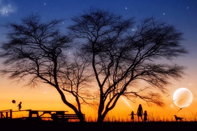 Summer Nights Wallpapers Danasrhp.top