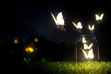 Summer Nights Hd Wallpapers