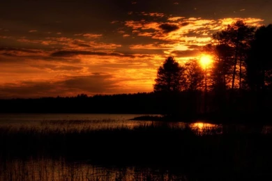 SUMMER NIGHTS SO CALM WALLPAPER (