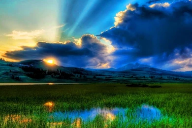 A SOFT SUMMER NIGHT WALLPAPER (