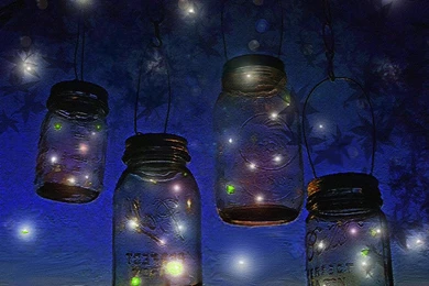 Fireflies In A Jar At Night   Danasrhp.top
