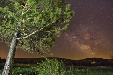 Download Wallpapers 3840x2160 Tree, Grass, Summer, Night, Stars 4K ...