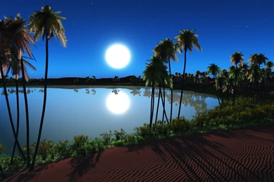 Desert Night, Summer, 1920x1200 HD Wallpapers And FREE Stock Photo