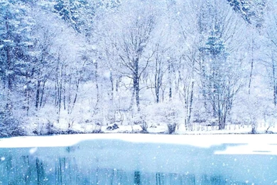 Winter Wallpaper Backgrounds For Desktop