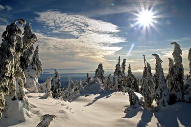 Free Winter Sun Wallpapers