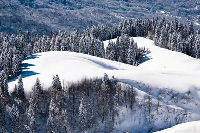 Free Download HD Wallpapers, Pictures, Images, Backgrounds: Very ...