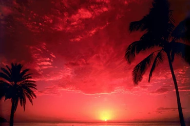 Red Sunset Cocoa Beach   (