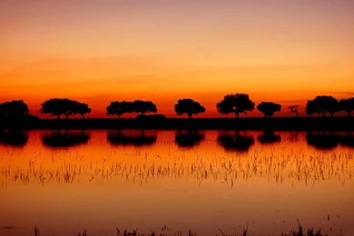 Red Sunset HD Desktop Wallpapers