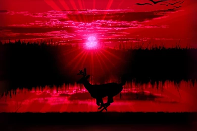 Wallpapers Red Sunset Free Screensavers 1024x768