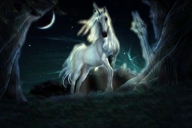 Unicorn Live Wallpapers   Android Apps On Google Play
