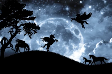 Wallpapers Unicorns And Fairies Moonlight Fanpop 1024x768 ...