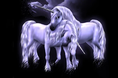 Fantasy   2 Shiny Blue Unicorns On Black Backgrounds » Wallpapers HD