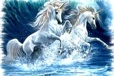 3d Unicorn Wallpapers