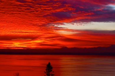 Red Yellow Blue Color Hd Wallpapers