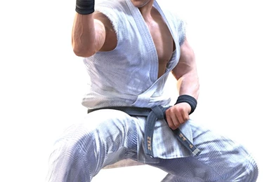 Yuuki Akira (Virtua Fighter)   Zerochan Anime Image Board