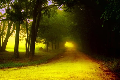 Free Wallpapers 98a   HD Wallpapers