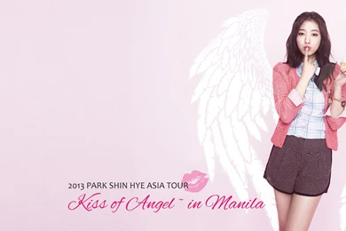 Park Shin Hye   Park Shin Hye Fondo De Pantalla (38464648)   Fanpop