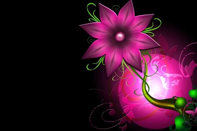 Pink Flower HD Wallpapers 1080p   Free Hd Wallpapers