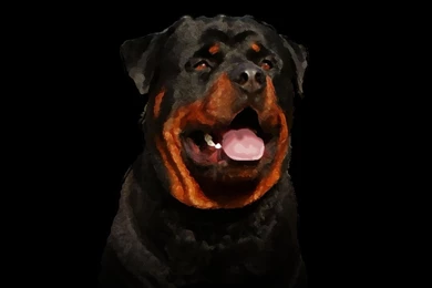 Painted Rottweiler Wu Tang Rottweilers Dogs Desktop Wallpapers ...
