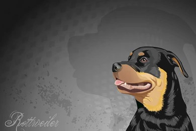 Dog Wallpapers – Rottweiler