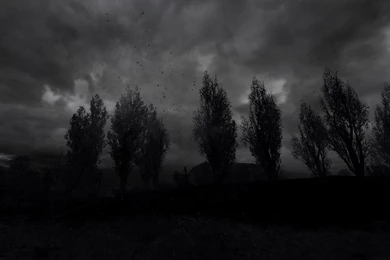 S.T.A.L.K.E.R. Computer Wallpapers, Desktop Backgrounds ...